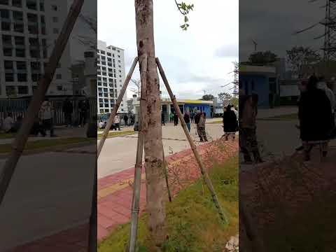 2025年11月13日，广东省河源市高新区和谐路275号金三维智造有限公司 欠薪，工人堵门讨薪。