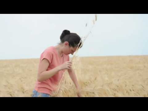 gurbanesti lan desktop