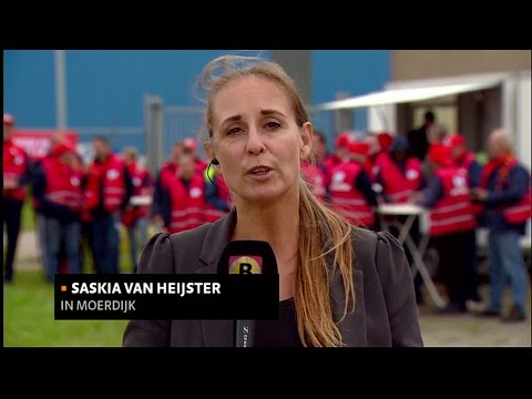 Medewerkers logistiek bedrijf DSV Moerdijk staken voor meer loon en respect