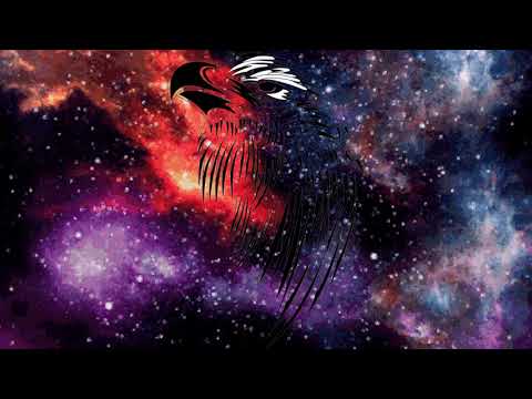 STRAYHAWK Contact