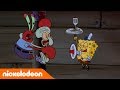 SpongeBob SquarePants | De beste kok van Bikinibroek | Nickelodeon Nederlands
