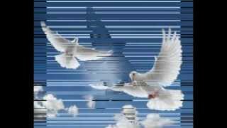 Kozma Dushi - Pëllumbi