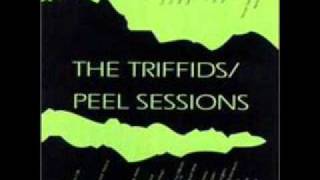 The Triffids: Wide Open Road (BBC)