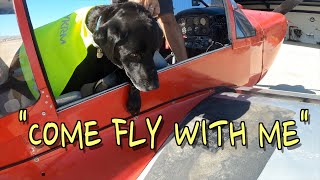 Taking my dog in a plane. with www.hour-building.com