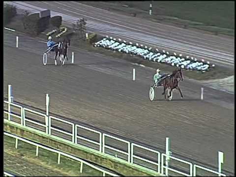 Trotto 22/10/2015 - prova di riqualifica