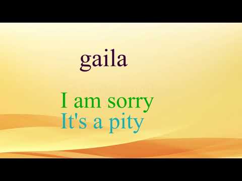 Lithuanian Lesson 68 - Problema (1). Gaila - Problem. It's a pity