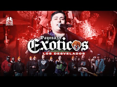 Miniatura de Payonazo Ex&oacute;ticos (En Vivo)