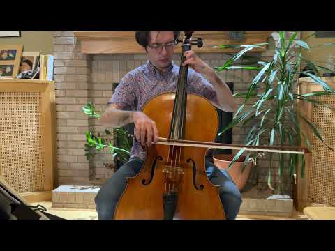 Promotional video thumbnail 1 for Cole Azulay - Professional Cellist