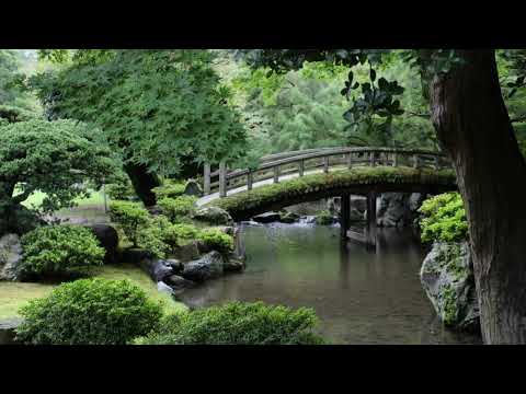 Okami 🐺 • Relaxing Music with forest garden 🌳• Summer • Best Okami OST