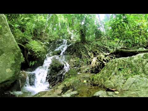 Guided Meditation: 45 Minutes Guided Meditation - Track 05