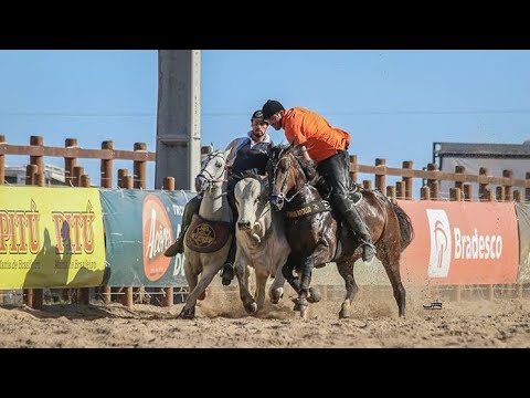 Tarcísio do acordeon - Vivendo de vaquejada (Vaqueiro Do Sertão)