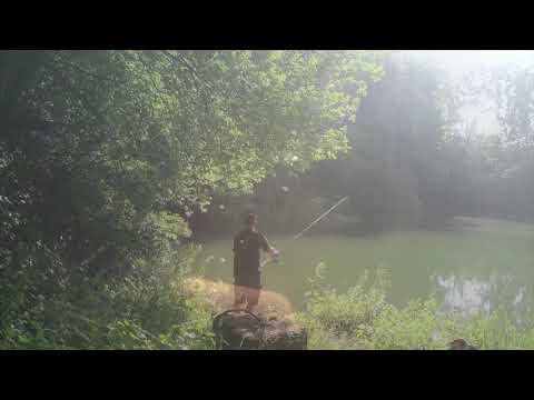 Stalking am kleinen Teich