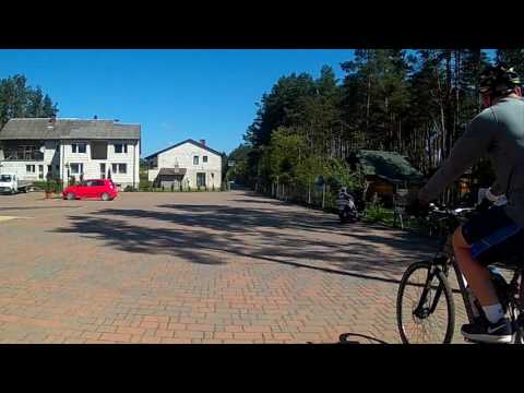 17051401 Susiec Sosnowe Zacisze