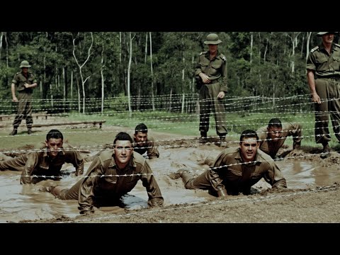 Why Australian Conscripts Outperformed US Volunteers... And It Shocked Pentagon Analysts