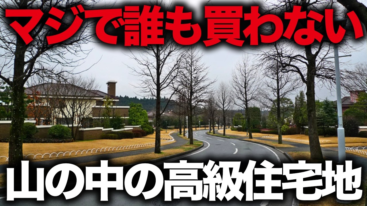 【マジで誰も買わない】15億で売られた高級住宅地が大暴落…駅前商業施設はスーパーも消滅「あすみが丘」