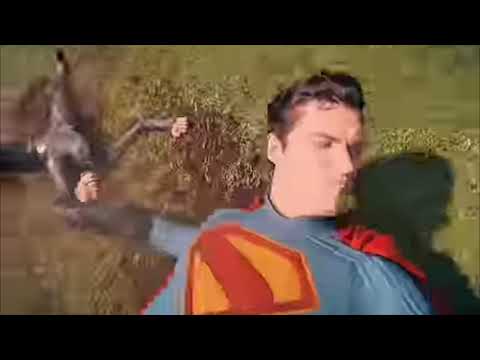 "Welp I tried" ahhh superman