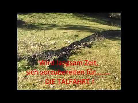 Meine wirklich allerletzte Fahrt auf der Sunny Roll Bahn in Achenkirch x264