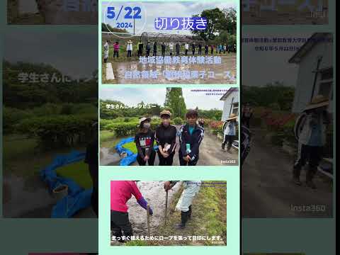 【愛知教育大学】地域協働教育体験活動自然領域「創作和菓子コース」の田植え体験①＃ｓｈｏｒｔショート＃愛知教育大学＃愛教大＃田植え