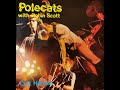 Polecats -  Rock It Up Baby