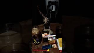 Download lagu STORY WA KOPI || SHAGYDOG ~ HONEY mp3 Download lagu STORY WA KOPI || SHAGYDOG ~ HONEY mp3