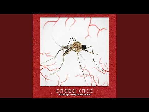 Video thumbnail for Комар-парижанин (Parisian-Mosquito)