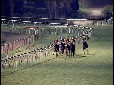 Galoppo 30/11/2019 - 6ª corsa