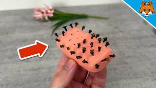 Stick 20 Cloves into a Bar of Soap and WATCH WHAT HAPPENS💥(Brilliant Trick)🤯