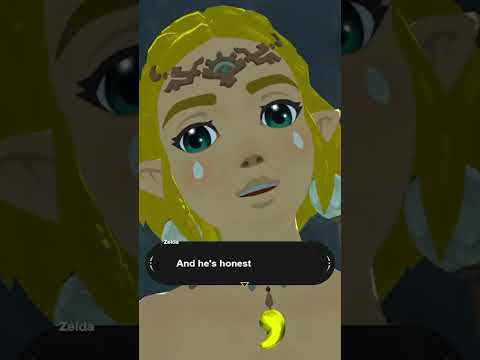 Gotta side with the villain on this one #zelda #totk #tearsofthekingdom