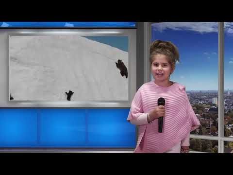 De Facto – Ursul Carpatin (Ep. 11). Prezentator Victoria Bardan, reporter Bianca Oprea