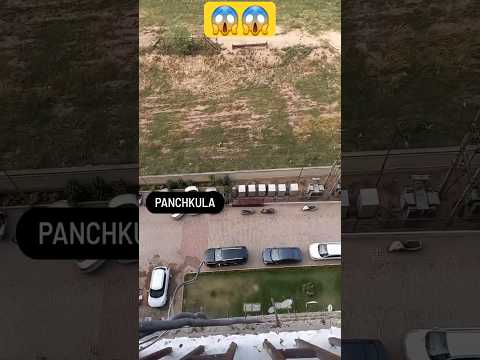 tihad jail song😱#shorts #shortsfeed #ytshorts #khanmusical #tihadjail #trending