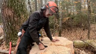 Dropping BIG TREES on a Beautiful Fall Day! 🍁🍂#857