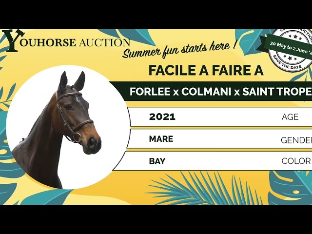Facile à Faire course video