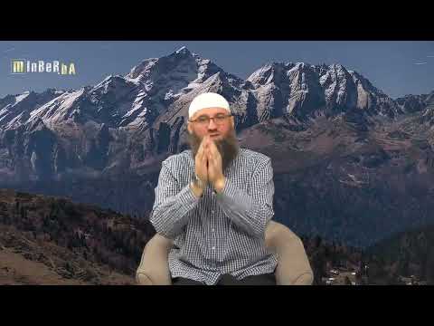 Post dojilja i trudnica - mr. Elvedin Pezić