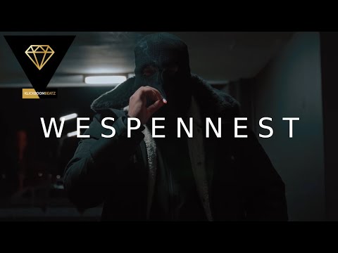 FARD x ASCHE x PA SPORTS TYPE BEAT - WESPENNEST