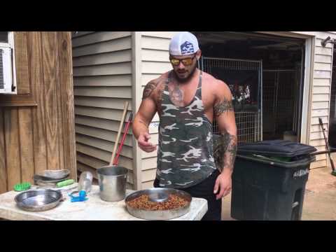 How much should you really be feeding your puppy