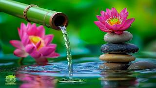 Relaxing Bamboo Water & Spa Piano 🌿 Healing Meditation Music for Stress Relief, Calm Mind & Body
