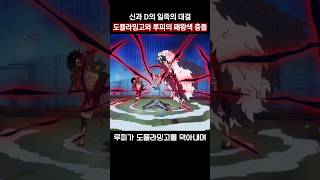 💥도플라밍고와 루피의 역대급 패왕색 충돌💥
