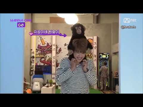 [ENG] Wanna One Go Zero Base S2 Ep2 - Ongniel bullying Jisung