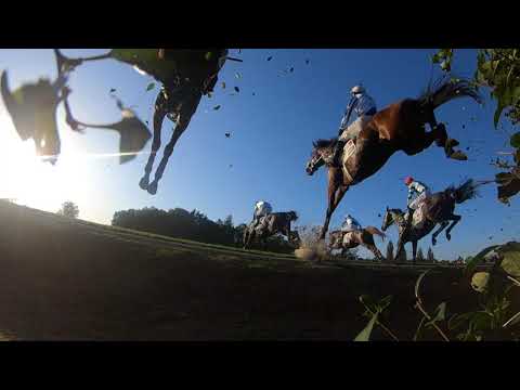 Sestřih neděle 13. října 2019 - 129. Velká pardubická se Slavia pojišťovnou