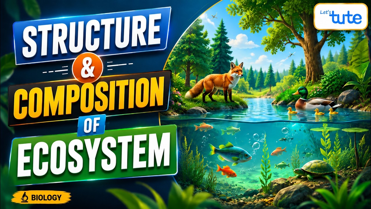 Structure & Composition of Ecosystem | Environmental Science | EVS | Letstute