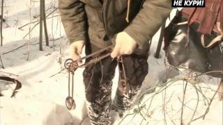 Ловля рысей петлей