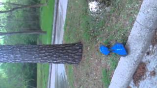 Ripstik riding part 1 - failure