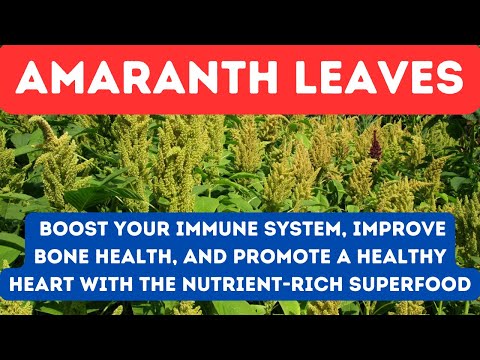 13 BENEFITS OF AMARANTH - Explore the Versatility of Amaranth and Add it to Your Diet