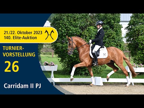 140th Elite-Auction - Oct. 21/22 - No. 26 Carridam II PJ by Carrico - Quidam de Revel - Clip 3