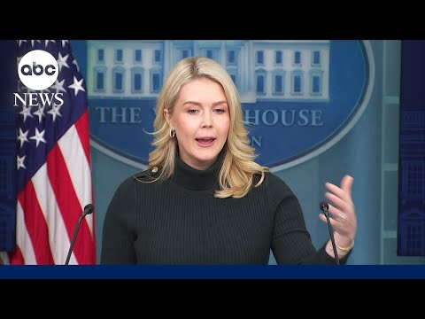 White House continues to blame Democrats for chaos in Minneapolis