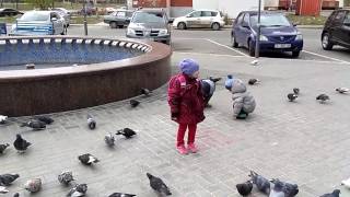 Дети и голуби