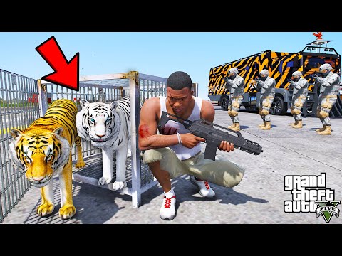 Franklin Trying To Rescue His Tigers From Army in GTA 5 | SHINCHAN and CHOP