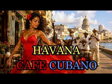 [Playlist] Son Cubano Playlist 🎺 Old Havana Vibes, Cuban Jazz & Old Café Music