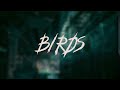 Turnstile - BIRDS | Lyrics