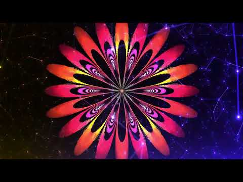 Manik Buluk Live Set 1 Hour July 2024 (Fenomenoize / Casa Lagunas / Colectivo DMT)